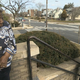 In this Feb. 22, 2016, file frame grab from video shows Virginia McLaurin, left, in Washington. McLaurin, who gained Internet fame for her impromptu dance with President Barack Obama has received a temporary photo identification card after her lack of a birth certificate stymied her earlier efforts to get one.